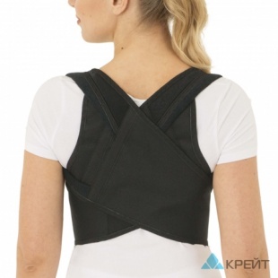 Реклинатор ортопедический Б-505  Крейт (корректор осанки) фото 4638