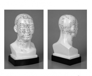 Модель для акупунктуры Голова, 20 см фото 3056