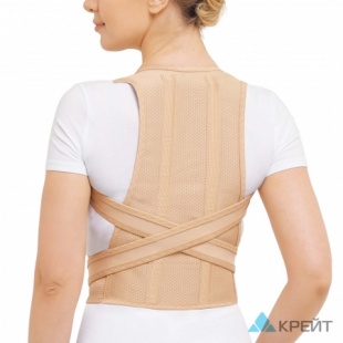 Реклинатор ортопедический F-15  Крейт (корректор осанки) фото 4634