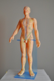 Муляж человека фото 2161